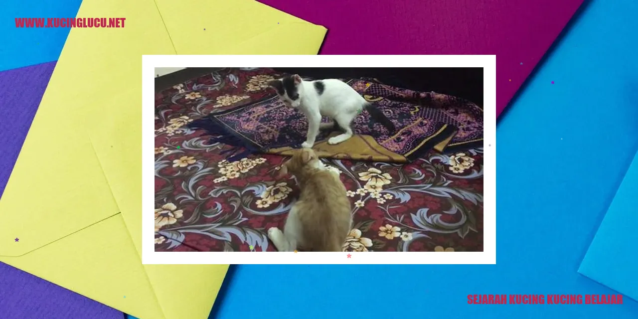 Sejarah Kucing Belajar