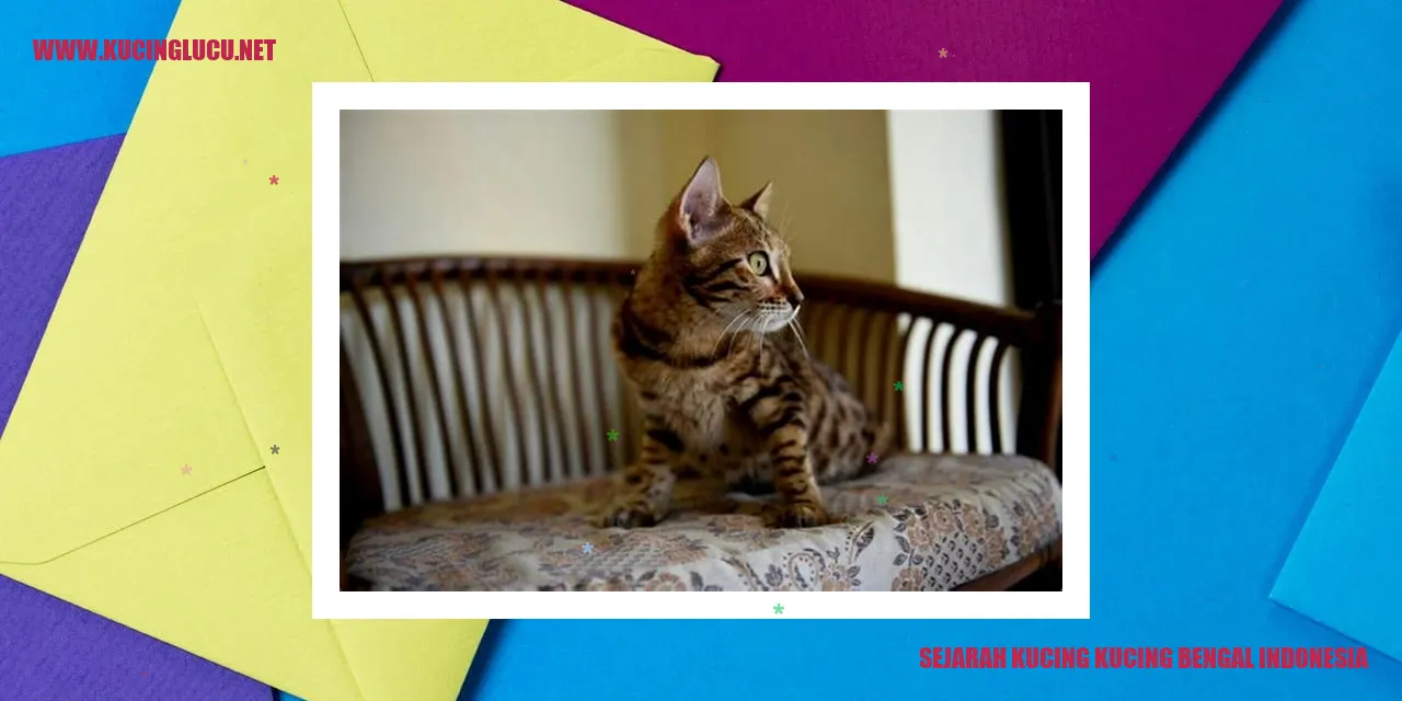 Foto Kucing Bengal