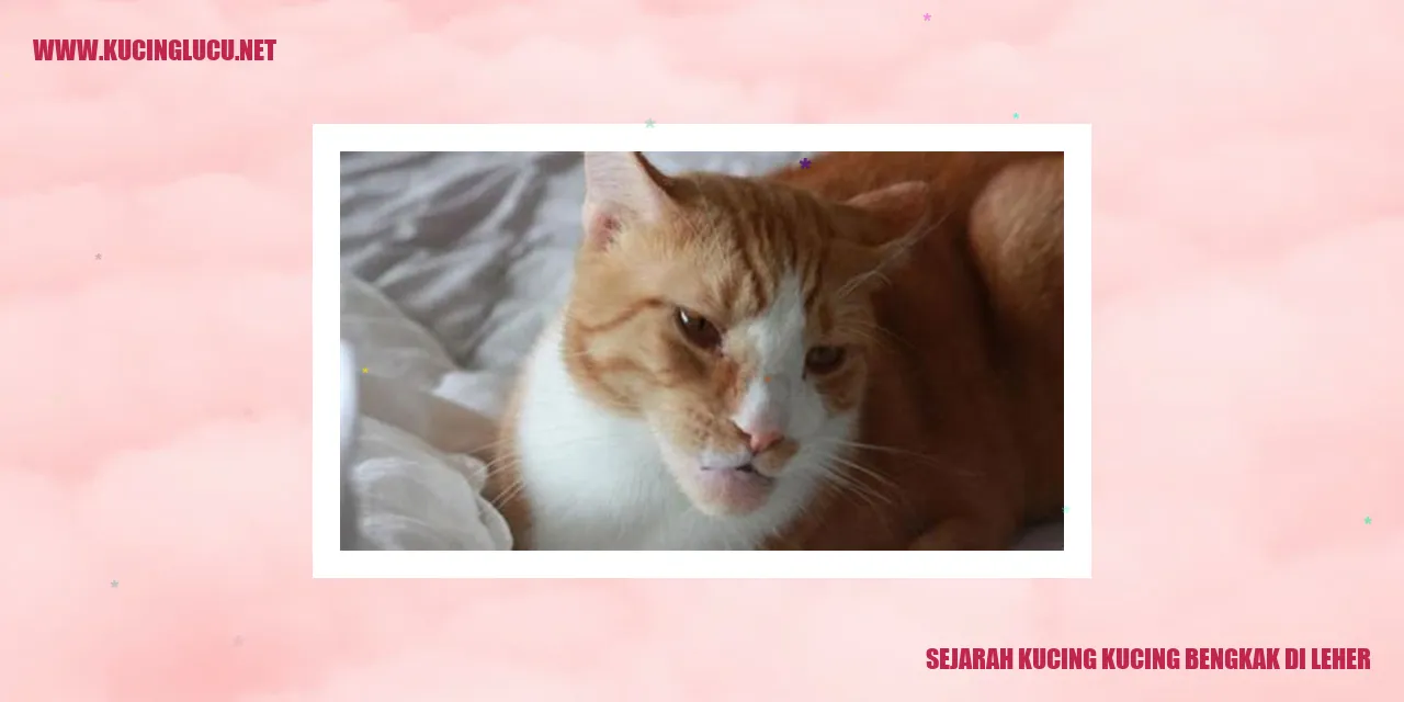Kucing Bengkak di Leher