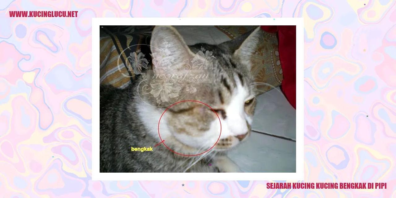 Kucing Bengkak di Pipi
