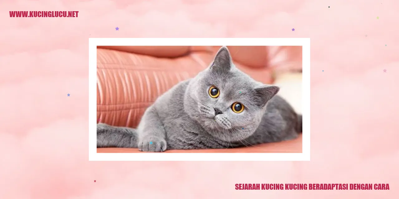 Kucing Beradaptasi