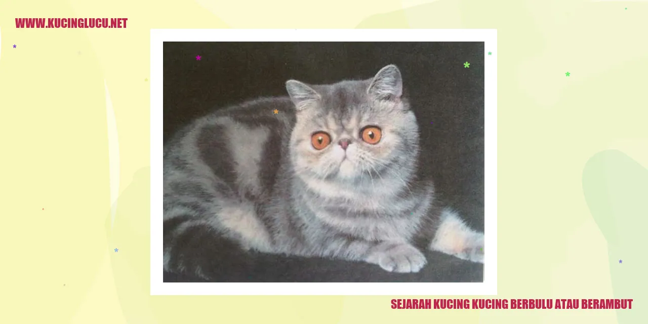 Kucing dengan Bulu atau Rambut yang Mewah