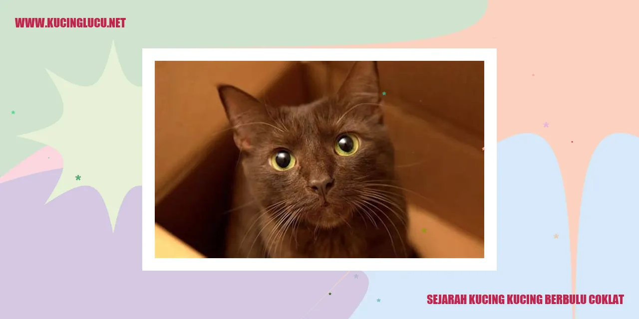 kucing berbulu coklat