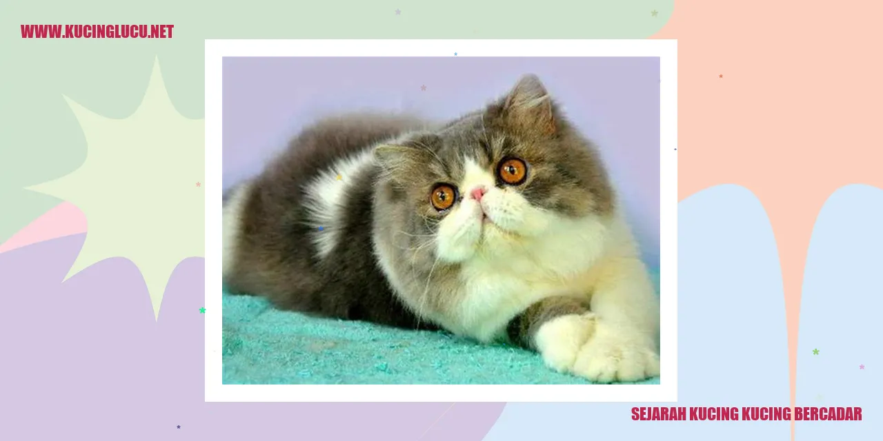 Sejarah Kucing dengan Cadar