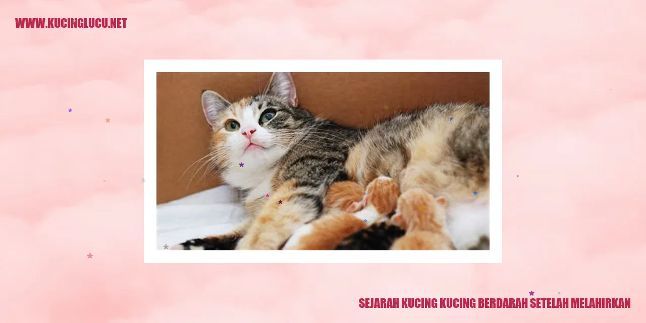 gambar kucing