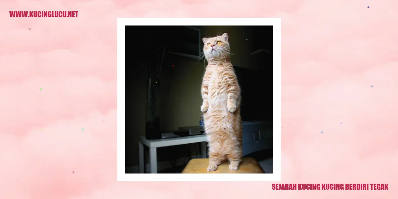 Sejarah Kucing Berdiri Tegak