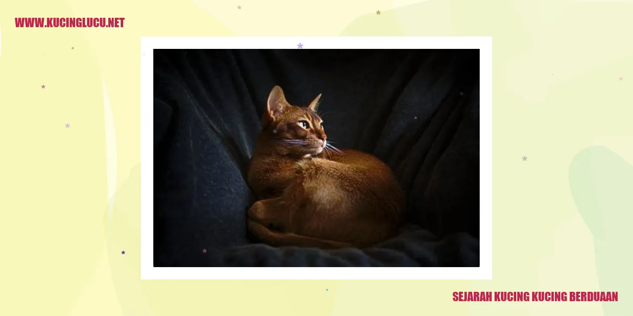 Sejarah Kucing Kucing Berduaan