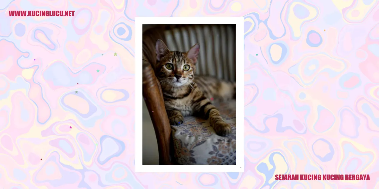 Gambar Kucing Bergaya