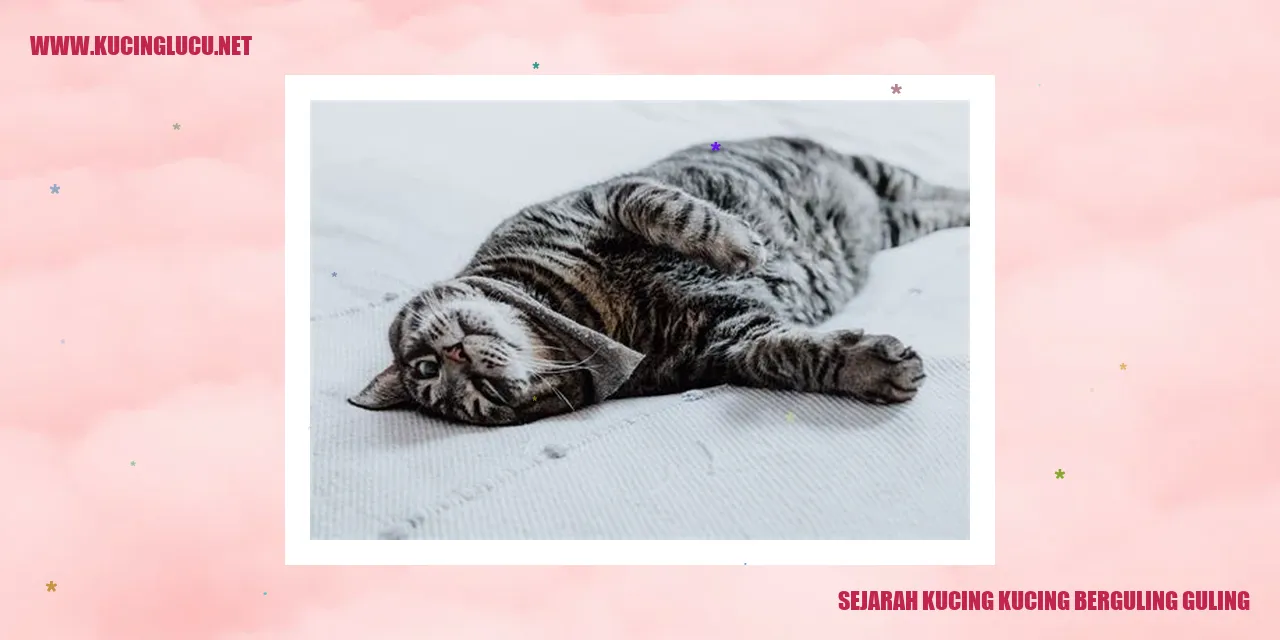 Ilustrasi Kucing Berguling-guling