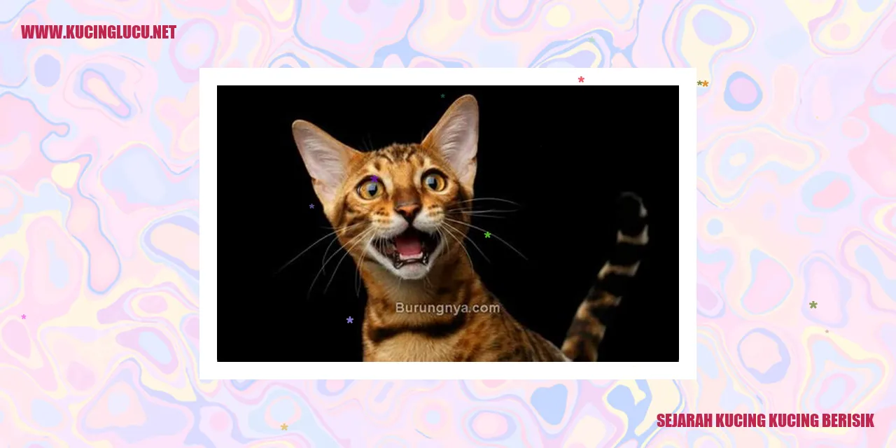 Ilustrasi Kucing Berisik