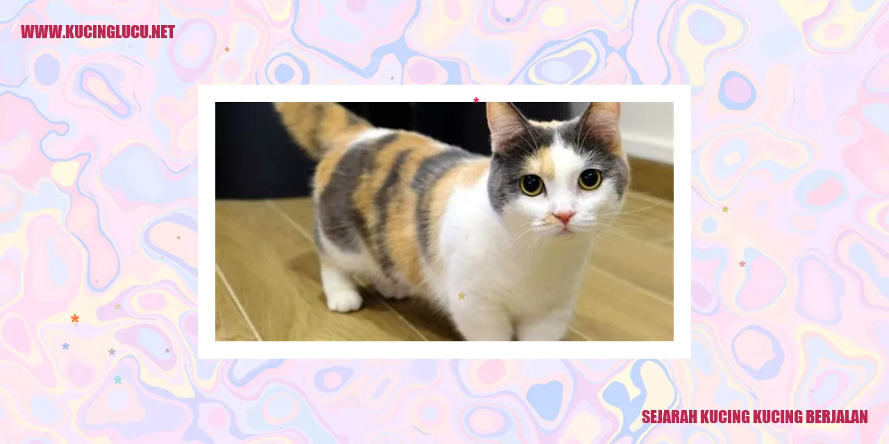Sejarah Kucing Kucing Berjalan