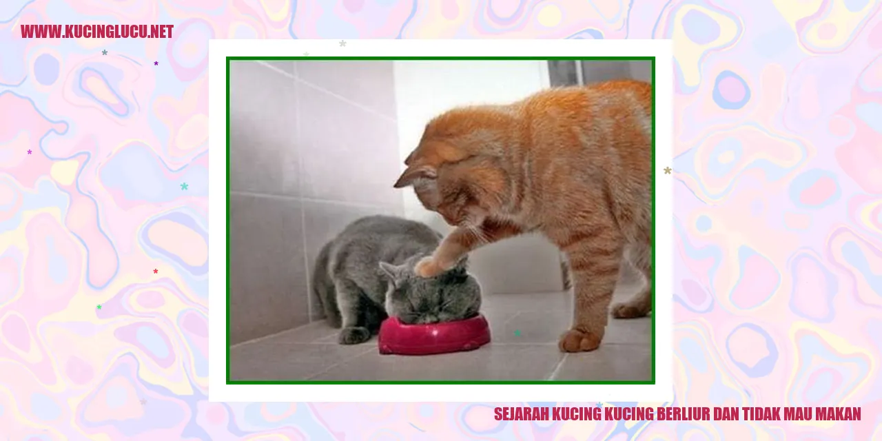 Sejarah Kucing Berliur dan Tidak Mau Makan