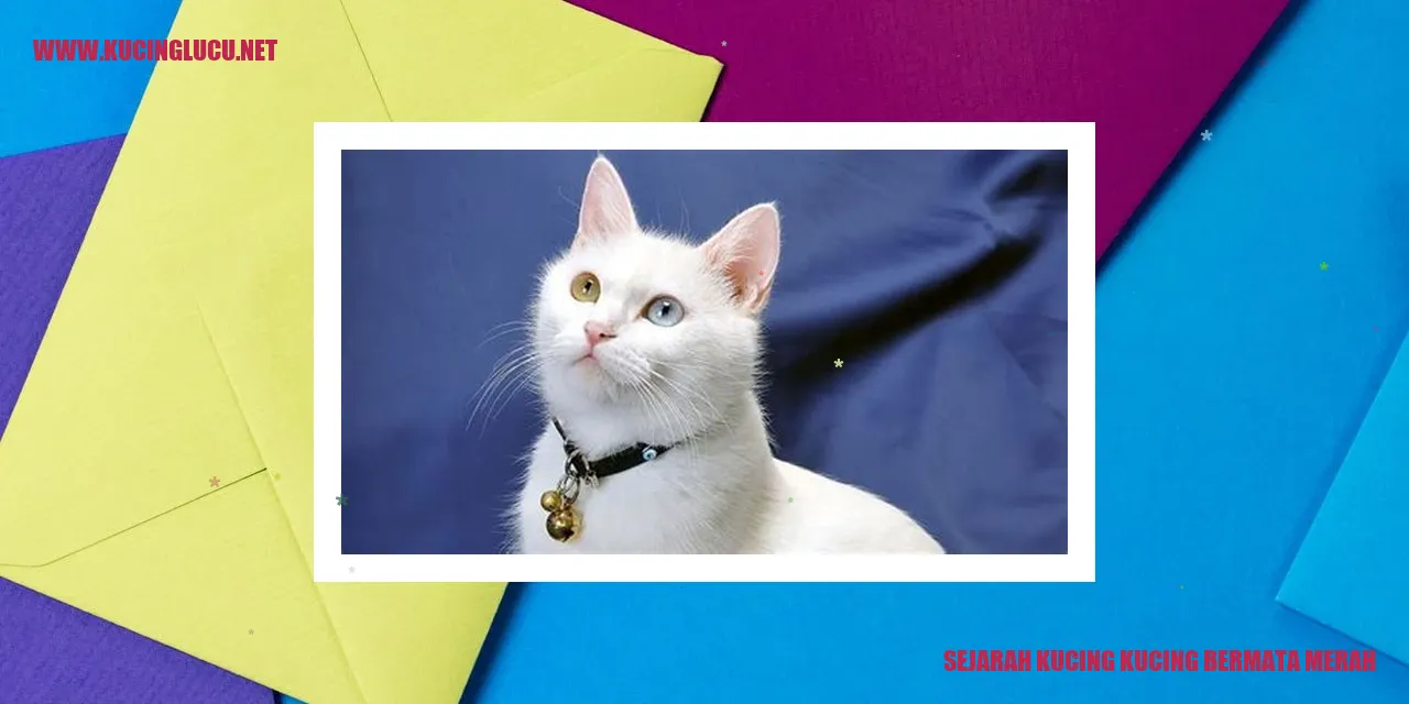 Gambar Kucing Bermata Merah