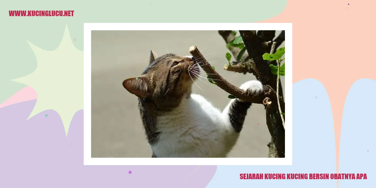 Gambar kucing sedang bersin