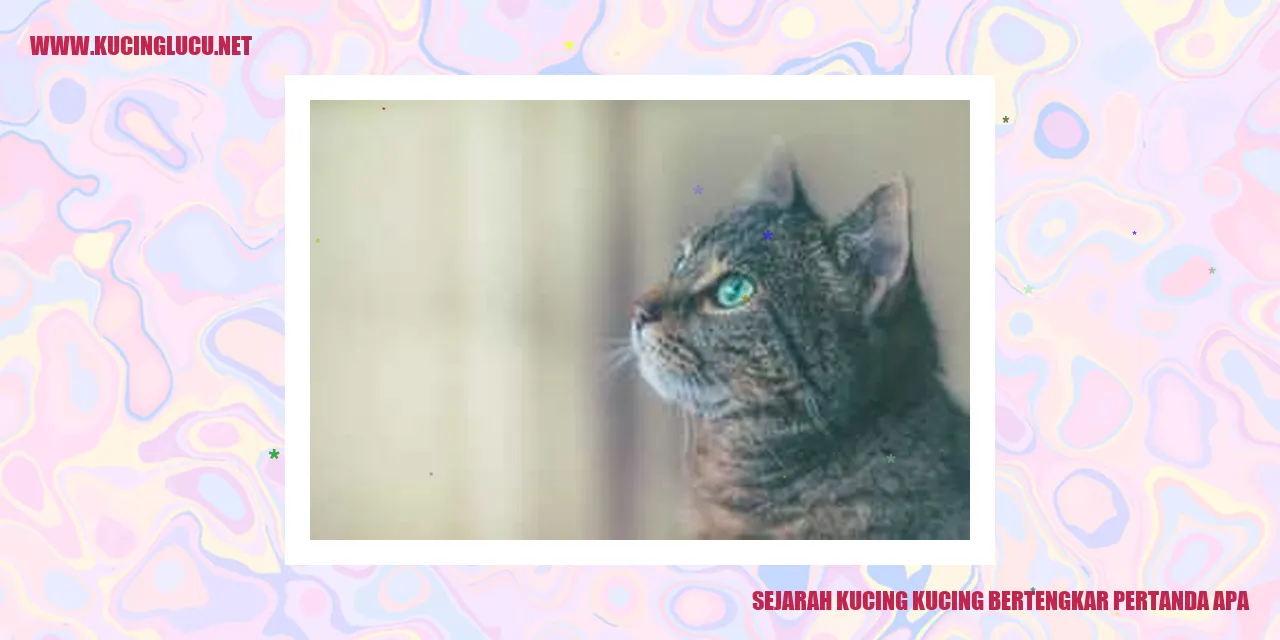 Sejarah Kucing Bertengkar Pertanda Apa