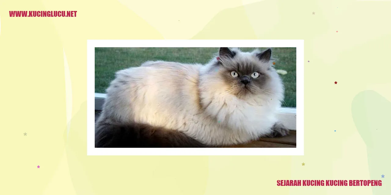Kucing Bertopeng