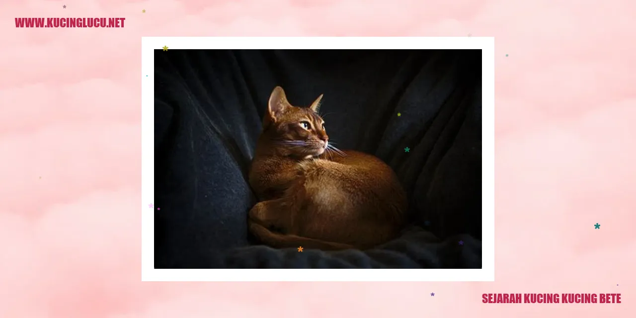 Sejarah Kucing-kucing Bete