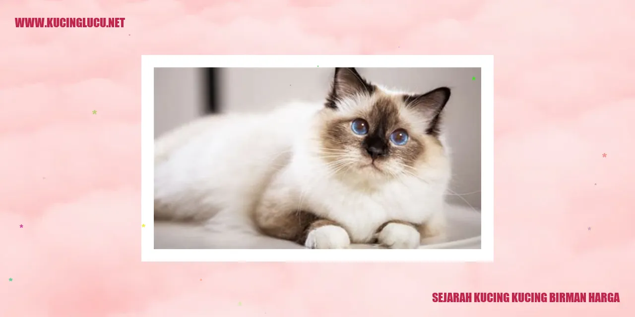 Sejarah Kucing Birman Harga