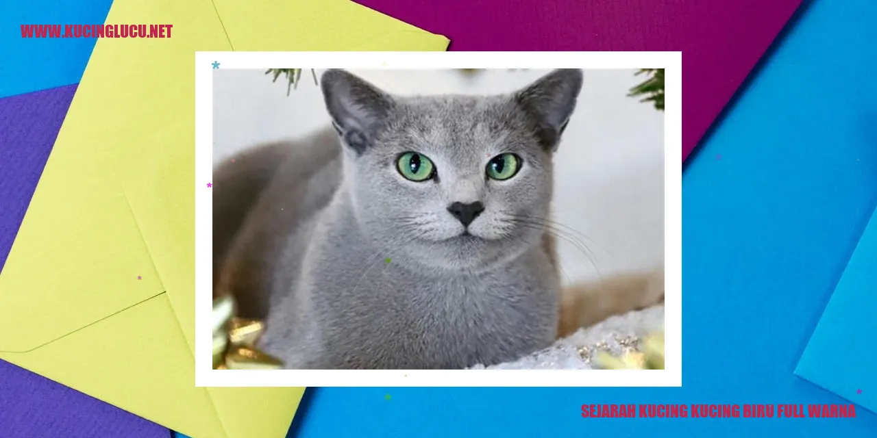 Kucing Biru Full Warna