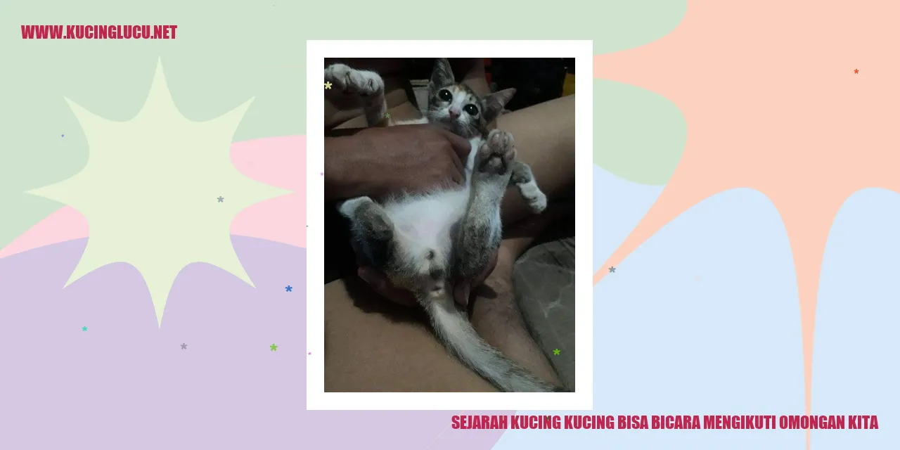 Gambar Sejarah Kucing yang Dapat Berbicara Mengikuti Omongan Kita