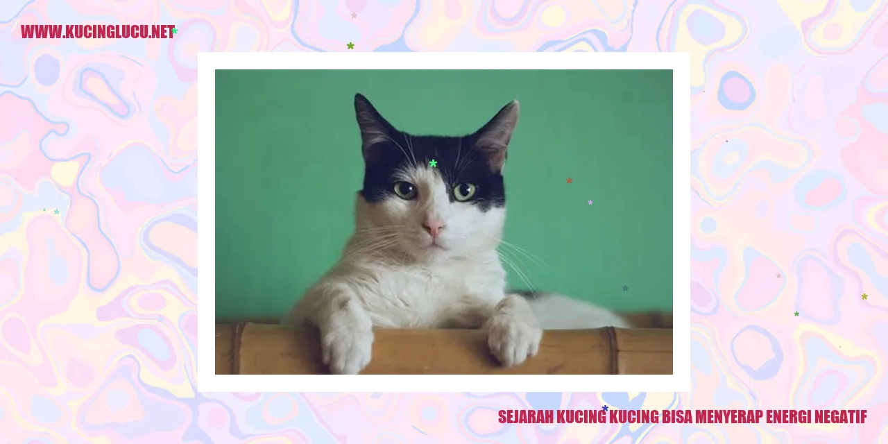 Sejarah Kucing yang Bisa Menyerap Energi Negatif