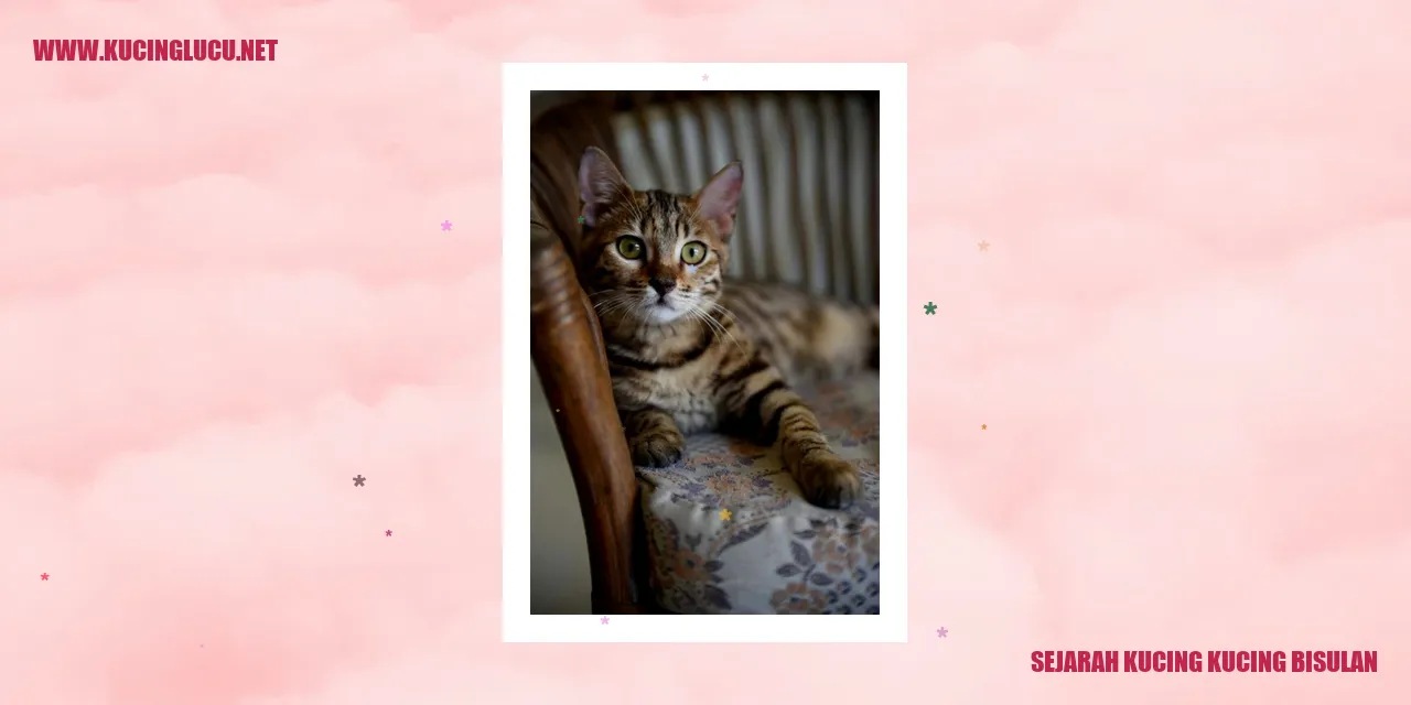 Sejarah Kucing Bisulan