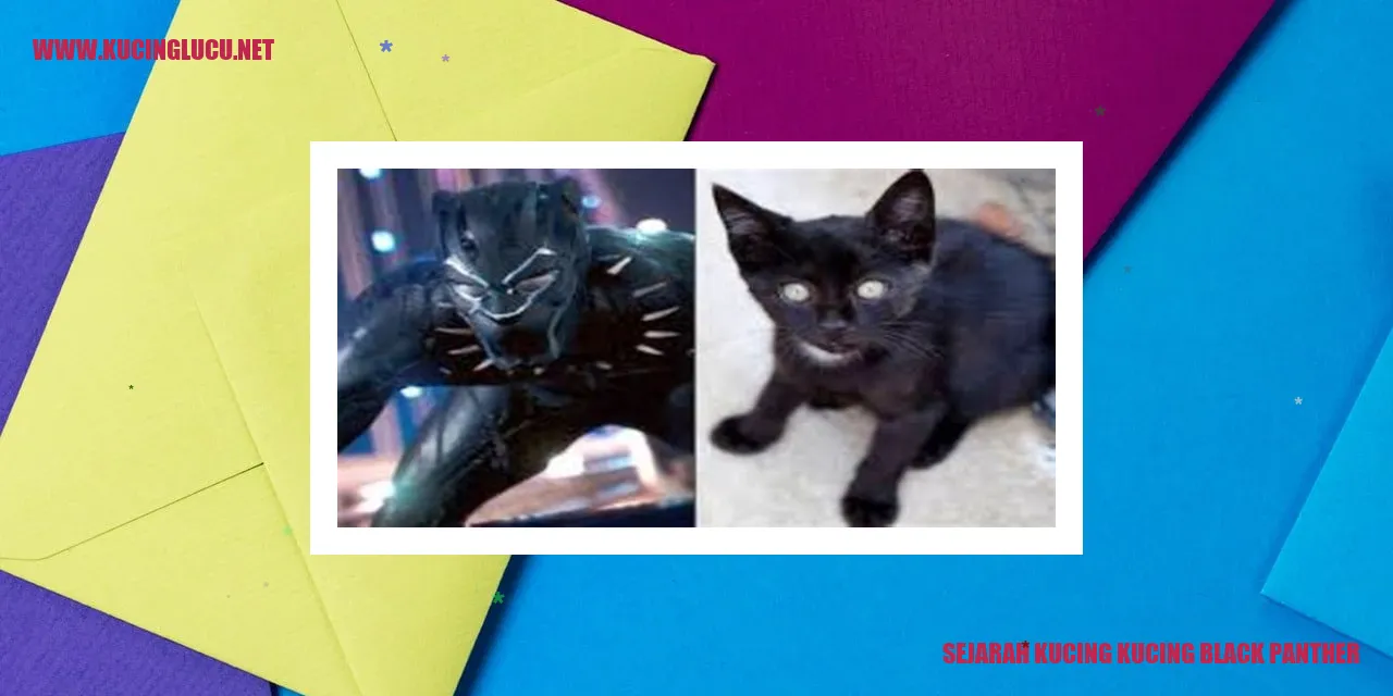 Gambar Kucing Hitam Panthera