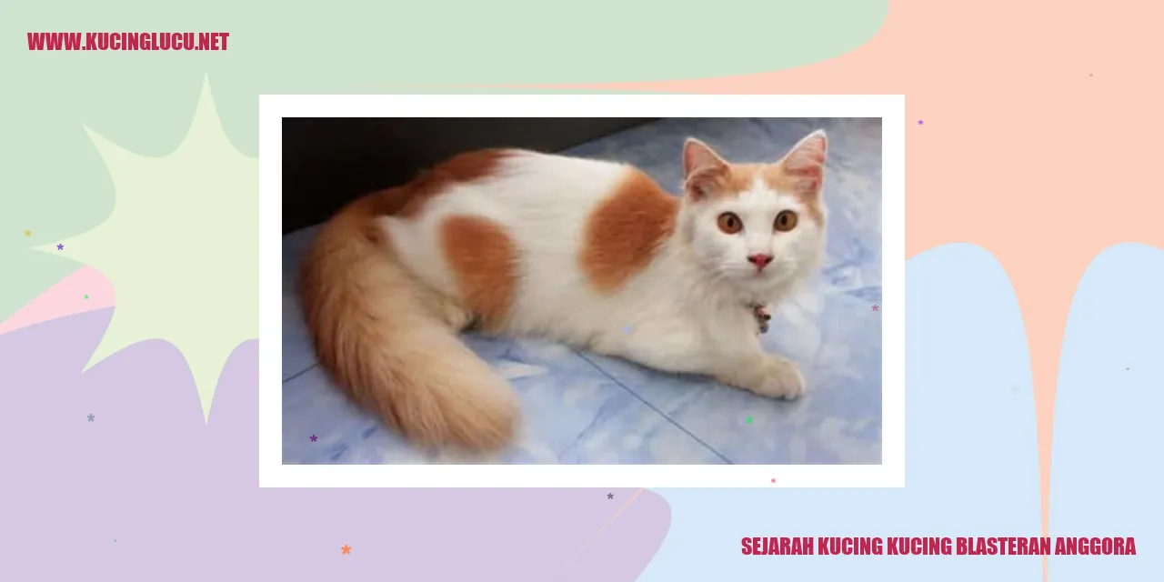 kucing campuran anggora