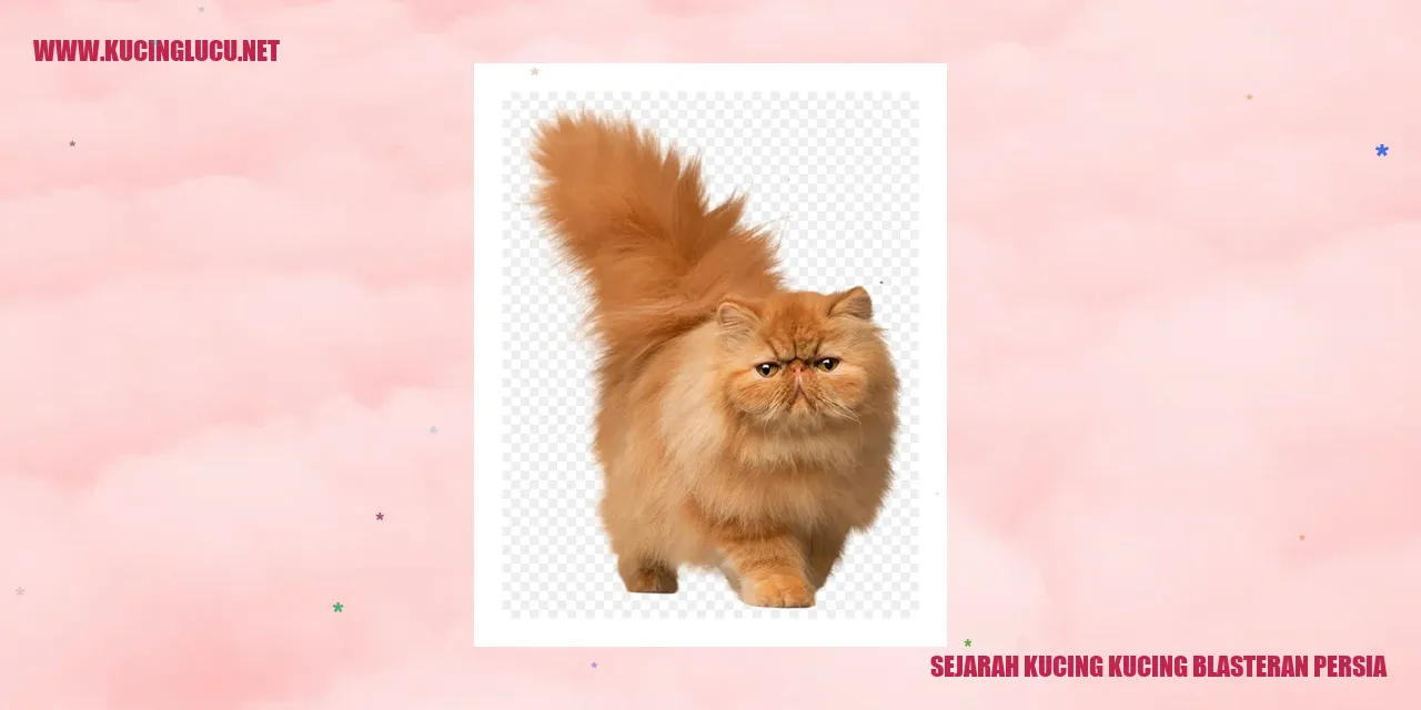 Kucing Blasteran Persia