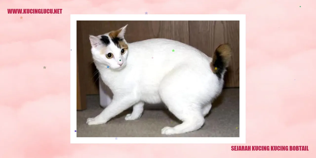 Gambar Sejarah Kucing Bobtail