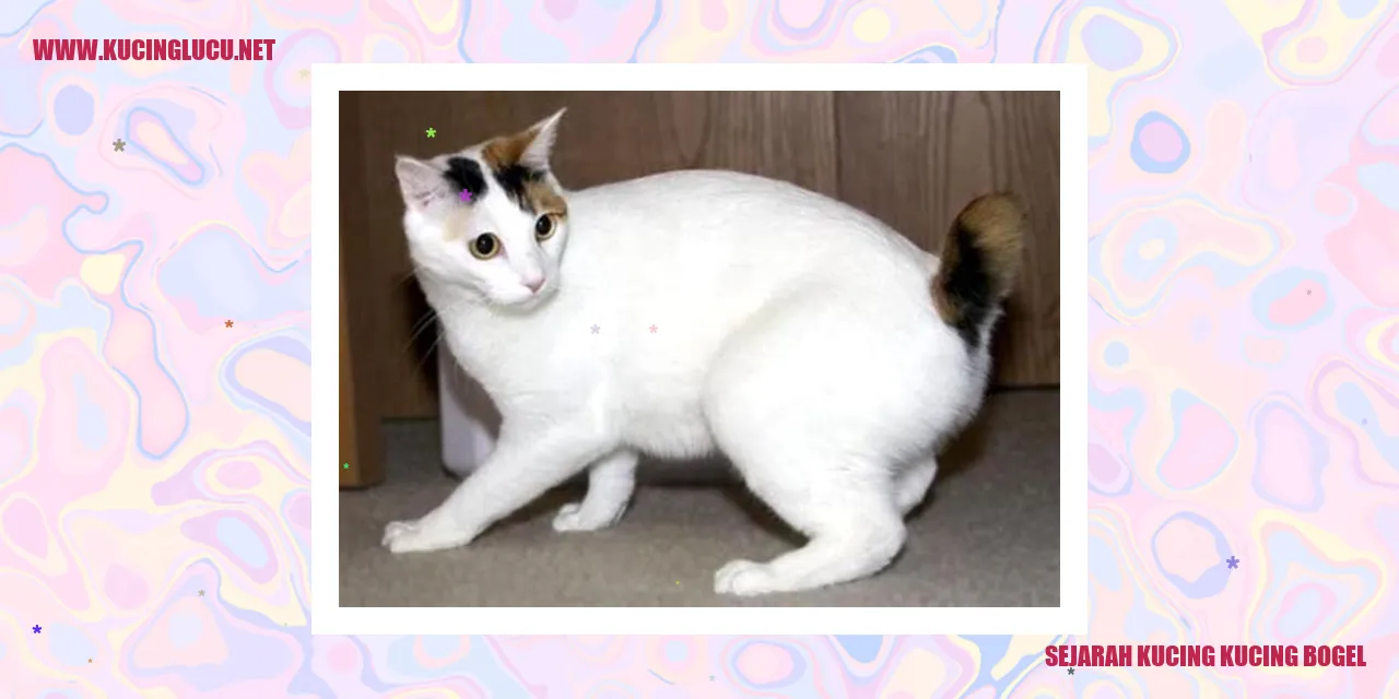 Sejarah kucing kucing bogel