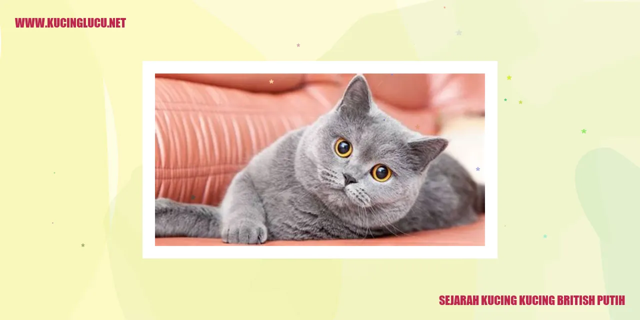 Foto Kucing British Putih