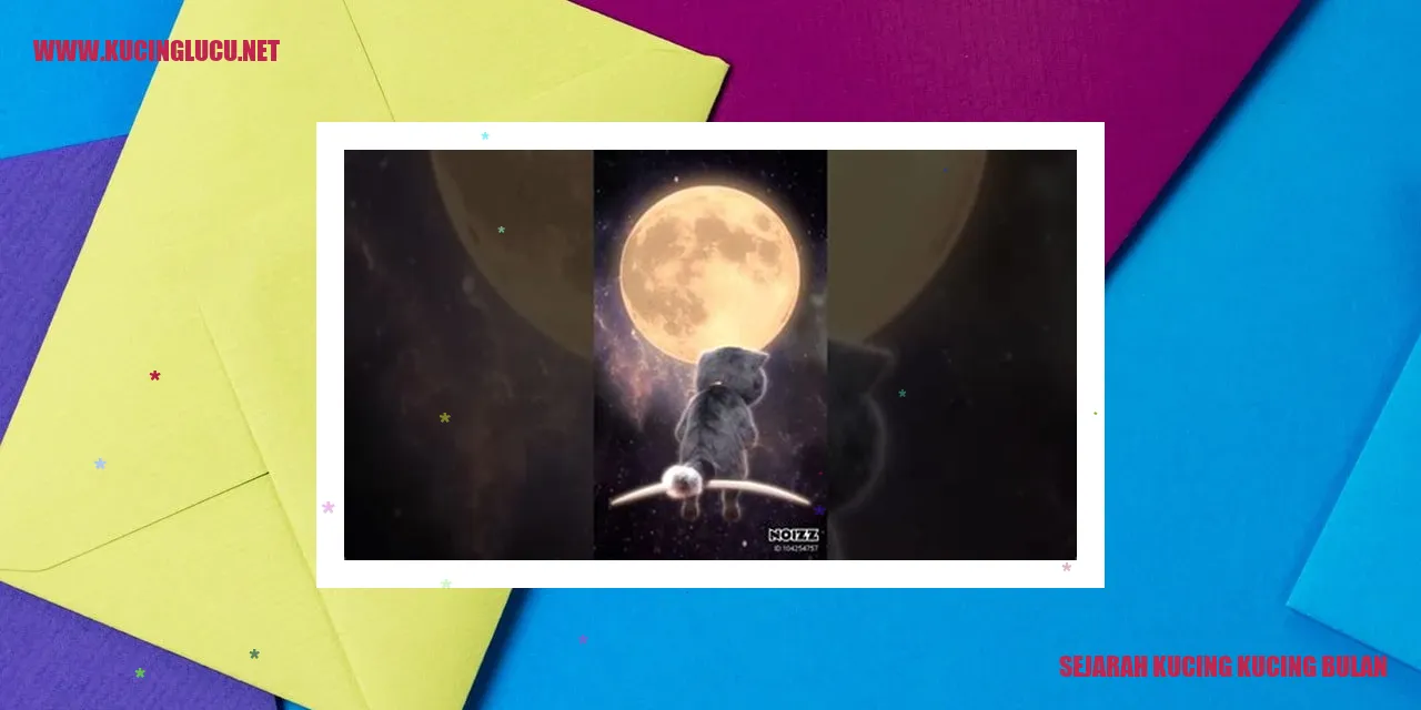 Gambar Kucing Bulan