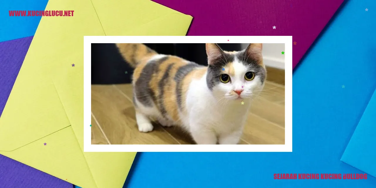 Sejarah Kucing Bulldog