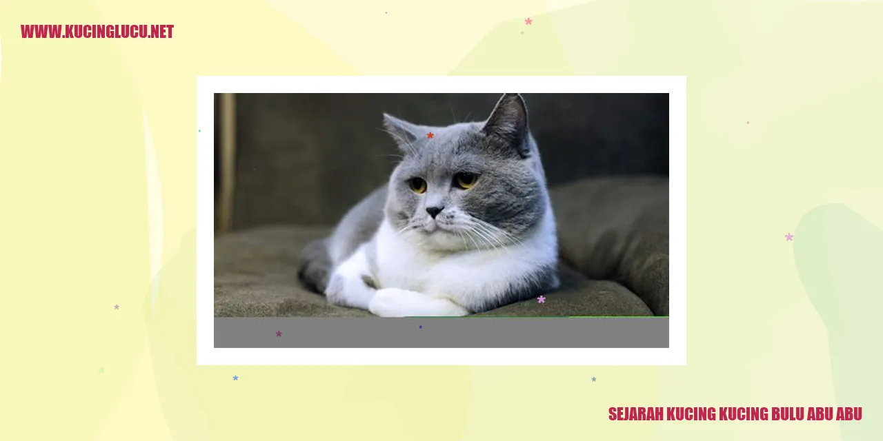Kucing Bulu Abu-Abu