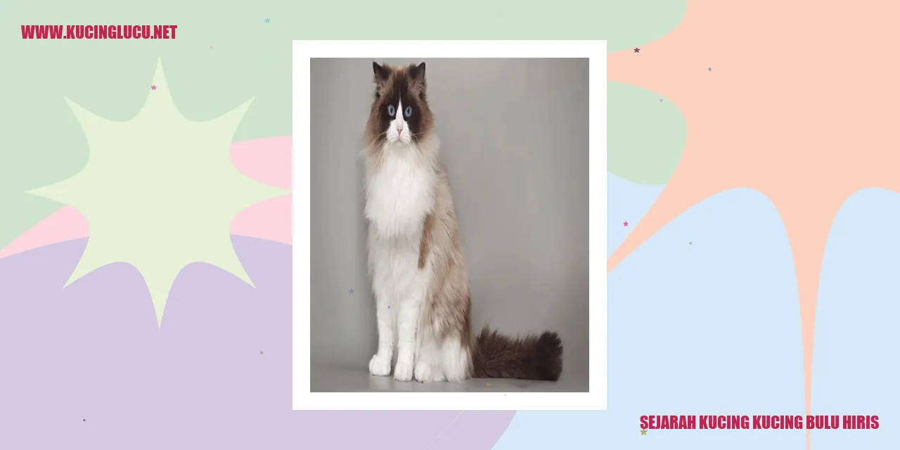 Gambar Kucing Bulu Hiris
