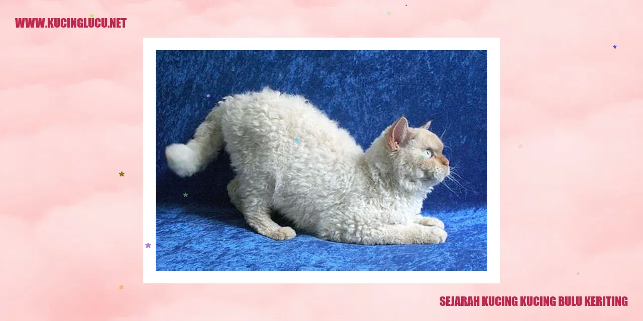Gambar Kucing Bulu Keriting