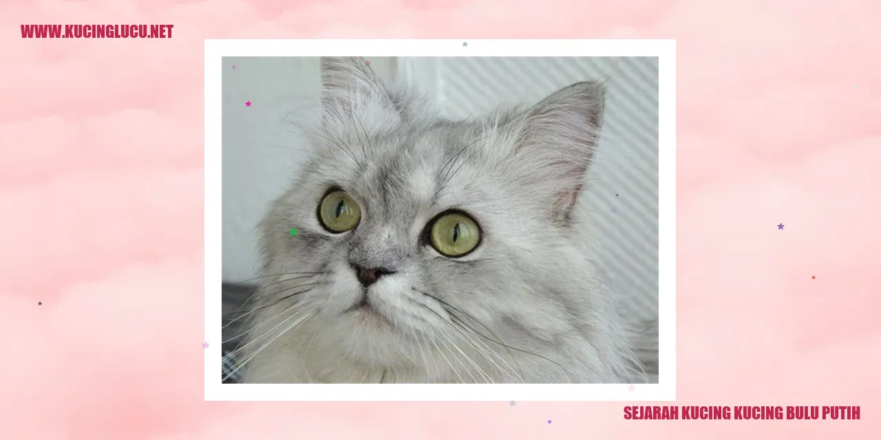 Ilustrasi Kucing Bulu Putih