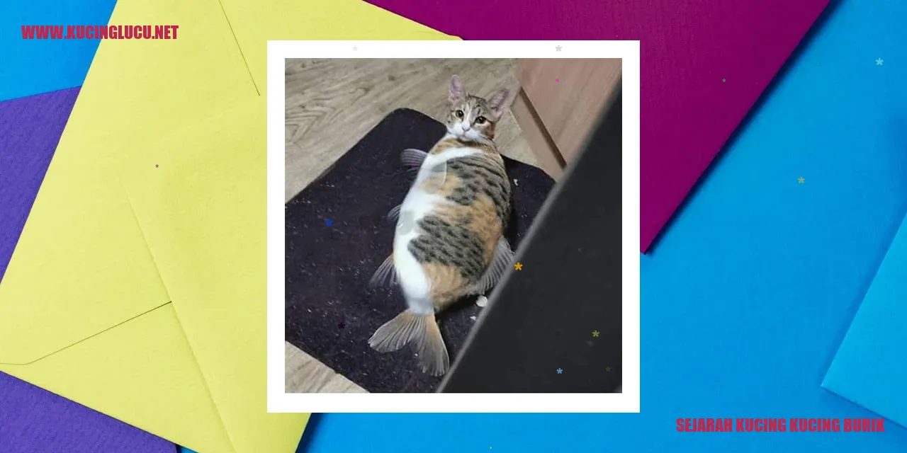 Kucing Kucing Burik