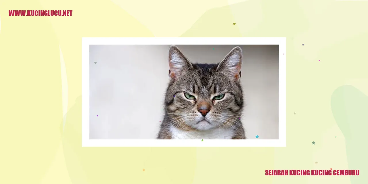 Gambar Kucing Cemburu