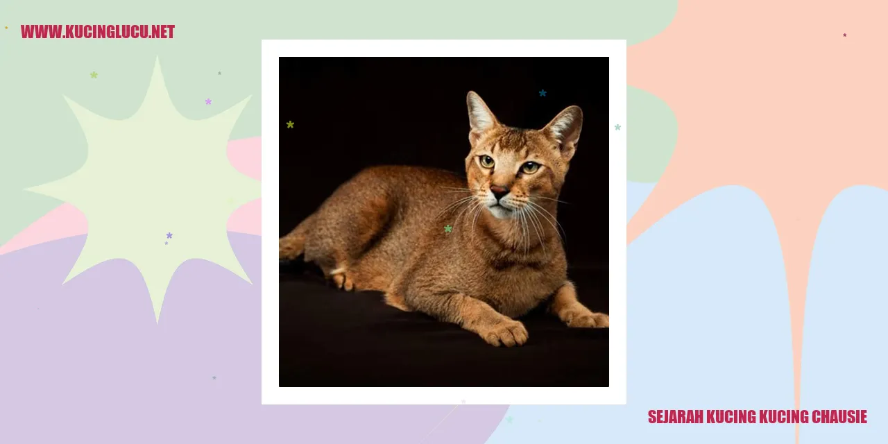 Kucing Chausie