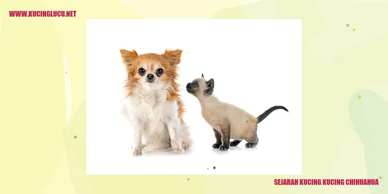 Sejarah Kucing Chihuahua