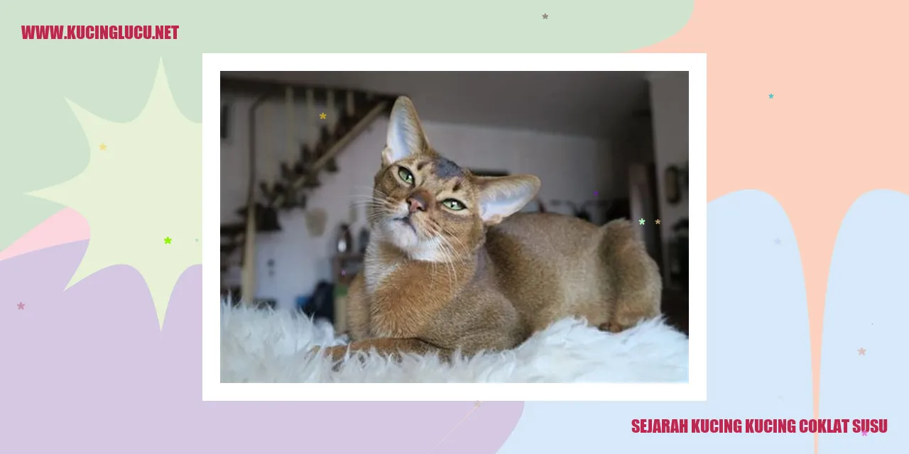 Kucing Coklat Susu