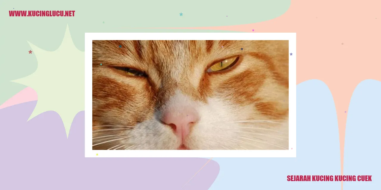 Kucing Ceguk