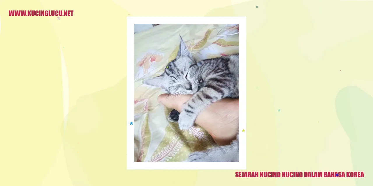 gambar kucing