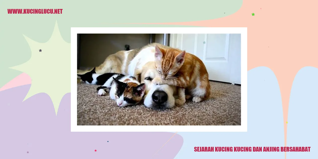 Kucing dan Anjing Bersahabat