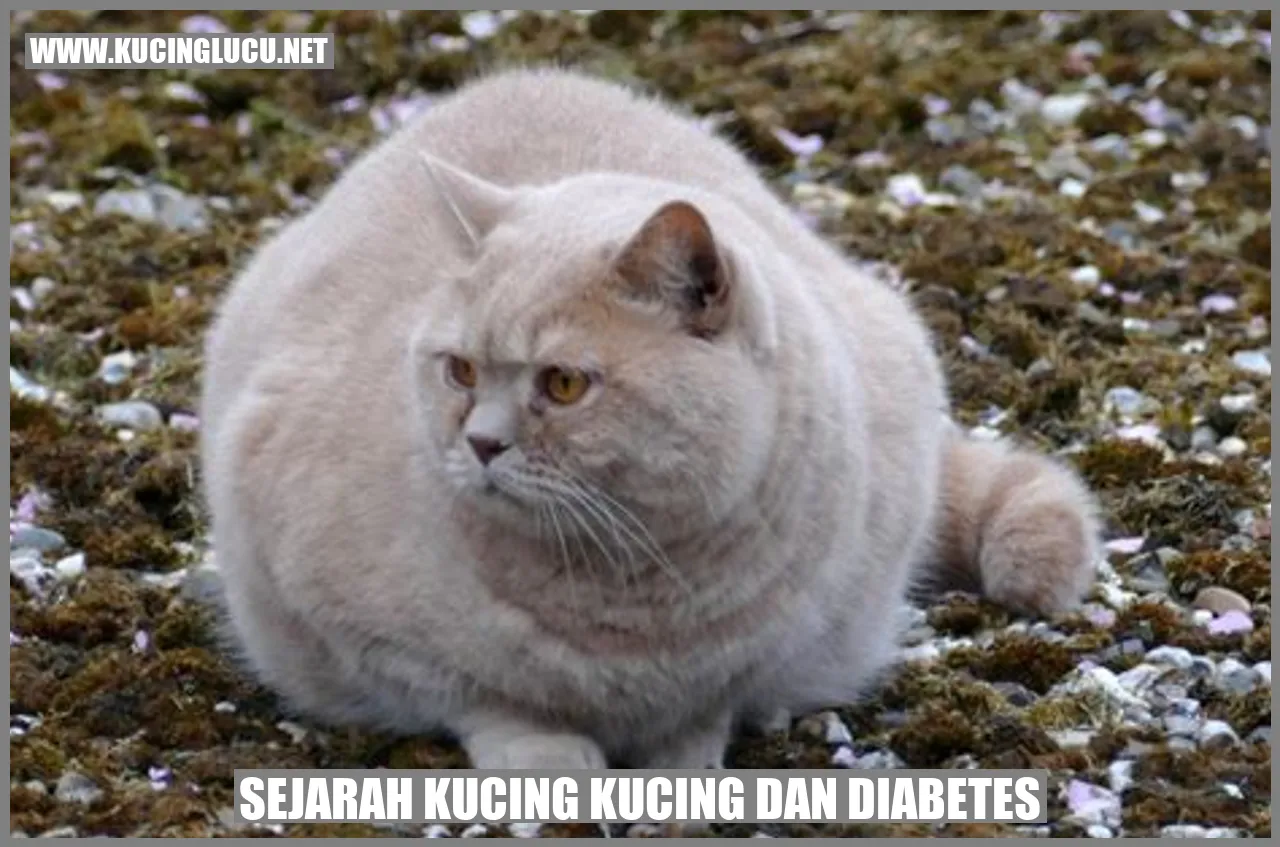 Sejarah Kucing dan Diabetes Mellitus