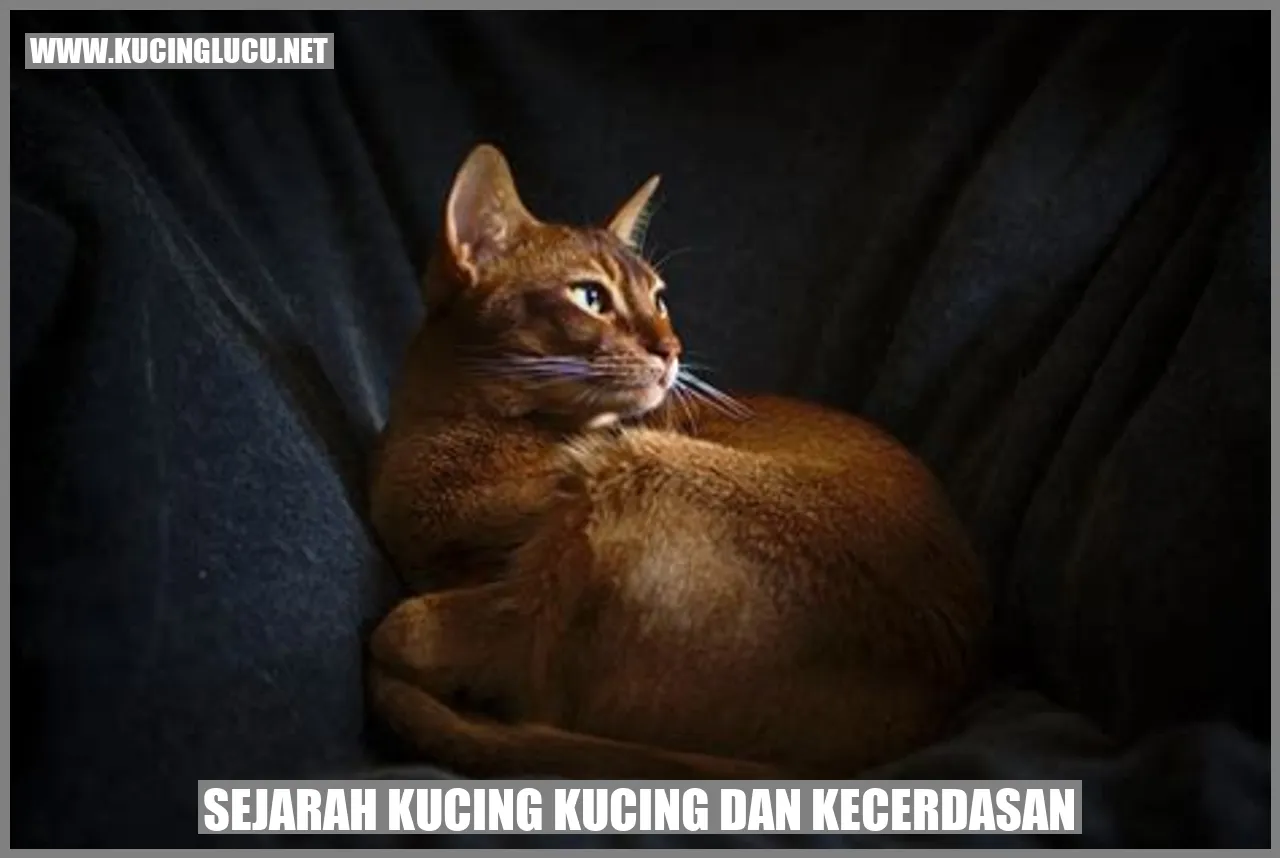 Kucing dan Kecerdasan