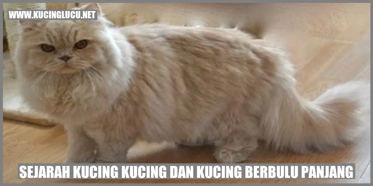 Sejarah Kucing Kucing dan kucing berbulu panjang