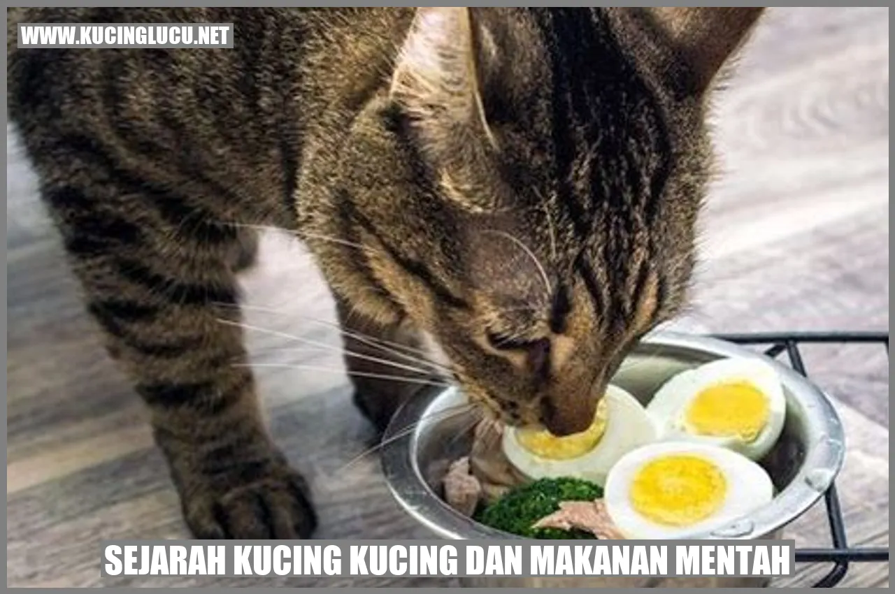Sejarah Kucing Kucing dan makanan mentah